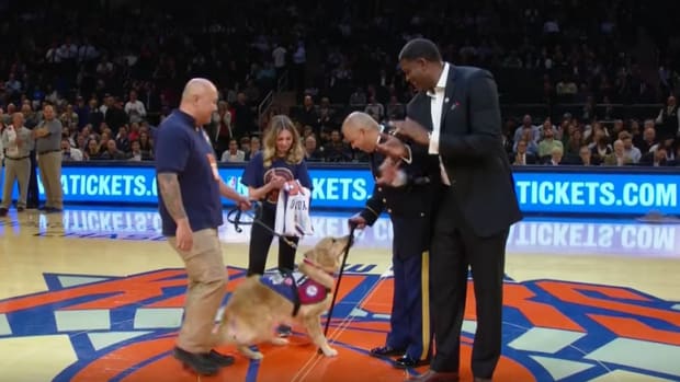 knicks-army-veteran-service-dog-video.png